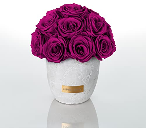 Solid Infinity Collection - Traumhafte Infinity Rosen, 1-3 Jahre haltbare Rosen, Betonvase mit echten, konservierten Rosen, edle Premiumrosen - Größe S (Velvet Plum)