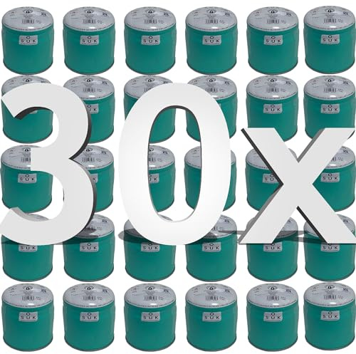 SOUK ONE Cartuccia a gas Premium 190 g (400 ml), set da 30 pezzi cartuccia a gas butano, cartuccia a gas pungente, fornello da campeggio, riscaldamento a gas, cartuccia gas butano (30 x 190 g)