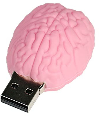 8GB Brain Model USB 2.0 Flash Drive Memory Stick Stitch Thumb Drive Data Storage PenDrive USB Drive Jump Drive (Pink)