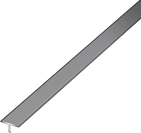 Schwellenrampe Bodenübergang Aus Aluminium, T-Mold Teppichzierleiste für Fliese Auf Laminat/Holz auf Fliese/Boden auf Teppich, Kappenfüller mit Breitem Und Langem Spalt (Color : Silver)