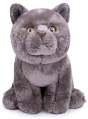 lilizzhoumax Britisch Kurzhaar bk Kuscheltier Katze plüschtier 28cm Simuliertes Tier Spielzeug Katze Kawaii Realistische Plüsch Spielzeug für Wilde Tiere, Geschenk für Freunde und Kinder