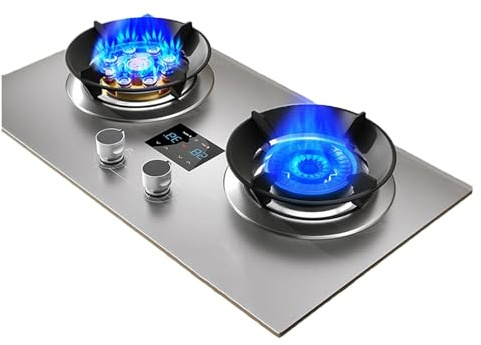 Cuisiniere Gaz - Gaziniere, Cuisinière À Gaz 2 Feux, Cuisinière À Gaz À Contrôle De Flamme Réglable, Cuisinière À Gaz Facile À Nettoyer Pour Un Usage Domestique, Bureau Et Montage Encastré (Size : LP