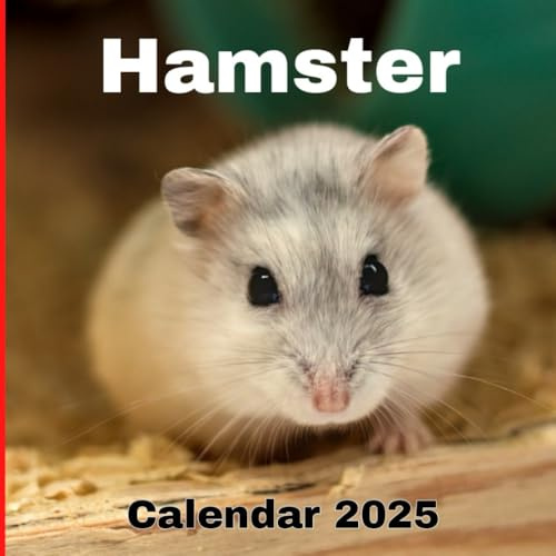 Hamster Calendar 2025