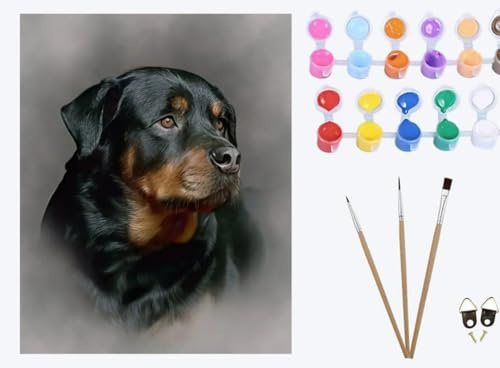 XIAOYOUQIAN Dog Portrait Rottweiler，Malen nach Zahlen Erwachsene ， 40x50cm, Be creative Heimdekoration Landschaft Anfänger Mit Pinsel und Acrylfarben ölgemälde für Home Decor ，ohne Rahmen