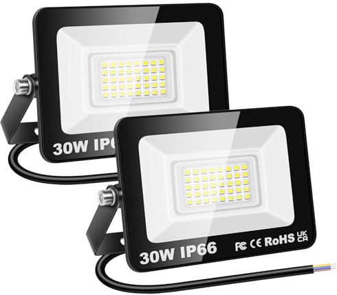 RIGIDON 2 Pcs Outdoor Flood LED Work Light, 3000 Lumens 30W Floodlight, Daylight Cold White Security Lights for Garden Yard Lawn Basketball Football Court Patio Landscape, IP66 Waterproof 6000K