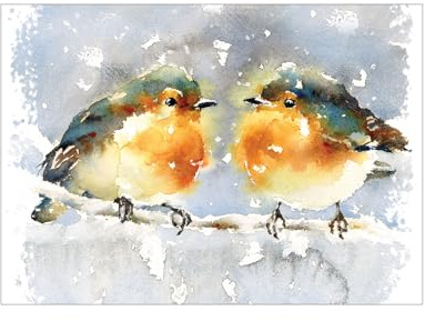 Weihnachtskarten mit Umschlag Set, Rohkehlchen, A6 | Christmas Cards, Karten Weihnachten; 10 Stück, kleines Format, Klappkarten; weihnachtliche Motive