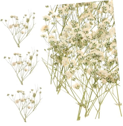Bouquet de Fleurs Célébration Halloween, Fleur Sèche, 1 Paquet | 80 Branches, Fleurs Séchées Naturelles, Matériau de Remplissage pour Vase, Usage Maison et Shooting