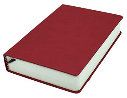 Earnmore Blanko-Notizbuch, A4, fester Ledereinband, Skizzenbuch, 660 Seiten, 80 g/m², dickes Tagebuch für Erinnerungen, Kritzeln, Zeichnen, Porträt, Kinder & Erwachsene