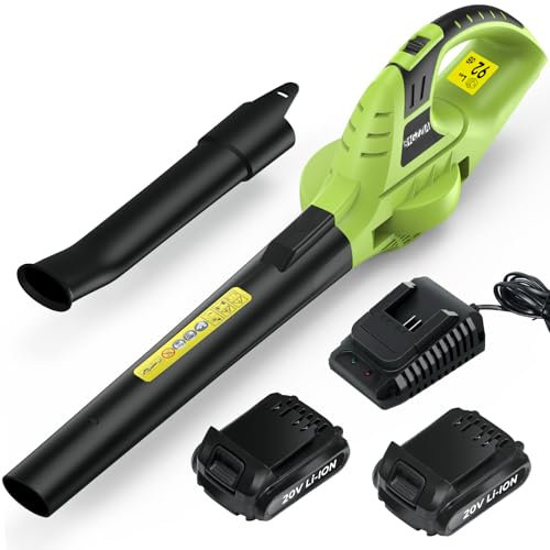 bigzzia Cordless Leaf Blower with 2×20V Li-ion Battery, Electric Garden Blower, 2-Speed, Detachable Tubes, 3.3 IBS Lightweight, 209CFM Blower for Leaf Dust Snow