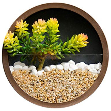 Pyugxab Wandvase zum Aufhängen, rund, 20,3 cm, für Sukkulenten, , Wanddekoration ()