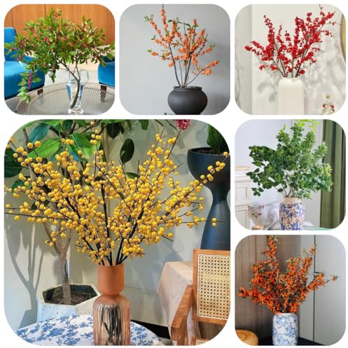 semi di agrifoglio resistenti, agrifoglio, rampicanti in vendita, interno da appartamento veri, resistenti 100pcs