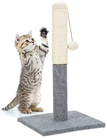 Relaxdays Kratzstamm, Kratzsäule für Katzen, freistehend, Kratzstange mit Sisalstamm & Spielball, Indoor, H: 54 cm, grau
