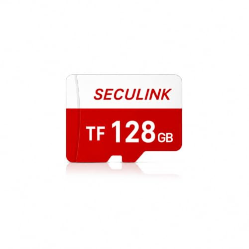SECULINK Carte mémoire TF 128 Go Format FAT32 Classe 10 Lecture/écriture haute vitesse Enregistrement 24h/24 et 7j/7 pour caméra de sécurité Dash Cam et plus encore