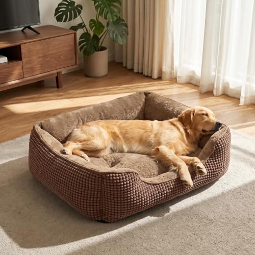 FURTIME Cuccia Cane Interno Taglia Grande, Cuccia per Cani Lavabile, Antiscivolo Cuscino per Cani Antiansia Letto Cane, 89x63x23cm