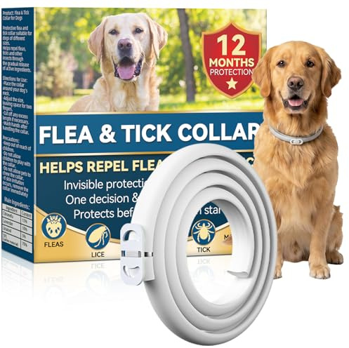 Protección contra Pulgas, Collar Antiparasitario para Perros 65 cm, Garrapatas e Insectos hasta 12 Meses, para Perros de Todos los Tamaños, Impermeable y Ajustable