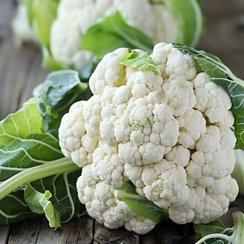 Semi di cavolfiore - resistenti giardino sul balcone vecchie varietà sostenibili antiche varietà di giardino invernali 150pcs
