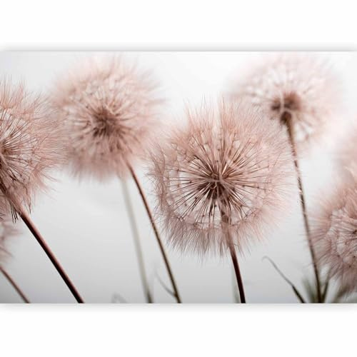 murando Fotomurales Dientes de león 400x280 cm XXL Papel pintado | tejido no tejido Decoración de Pared decorativos Murales moderna de Diseno Fotográfico Naturaleza Botánica Plantas