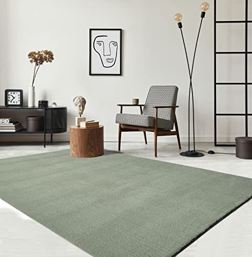 the carpet Relax - Alfombra Moderna y mullida de Pelo Corto, para salón, Parte Inferior Antideslizante, Lavable hasta 30 Grados, Muy Suave, Verde, 60 x 110 cm