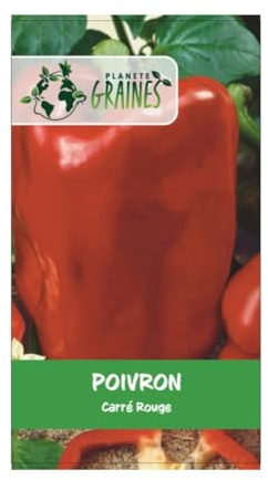100 graines de Poivron rouge -carré - pepper quadrato asti red