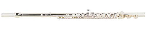 Lechgold FL-19/2 Querflöte - Versilberte Querflöte mit C-Fuß - Komplett aus Neusilber - Geschlossene Klappen - Inklusive Etui, Tragetasche und Wischerstab
