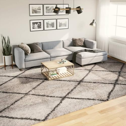 AJJHUUKI Home Outdoor OthersShaggy Teppich PAMPLONA Hochflor Modern Beige und Anthrazit 300x400 cm
