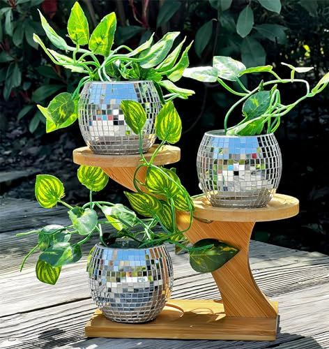 Lot de 3 pots de fleurs disco en forme de boule avec support en bois, pot de fleurs d'intérieur en forme de cactus, pot de fleurs succulentes, miroir à paillettes, support de plante en bambou argenté