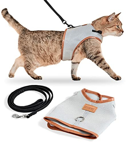 PiuPet® Katzengeschirr (S) Mit 1,2m Leine | Ausbruchsicher | Geschirr für Katzen | Katzenleine