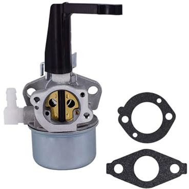 Carburateur de rechange pour moteur de motoculteur Briggs & Stratton 696065 697422 110402 110412 215369