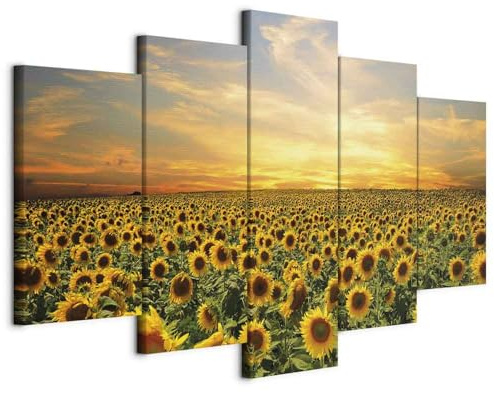 B&D XXL - Akustikbild Akustikschaumstoff, 225x112 cm, 5-teilig, Wohnzimmer | Verbessert Raumakustik, reduziert Hall, ideal fürs Büro oder Wohnzimmer, hochwertige Verarbeitung, schnelle Montage, stilvoll