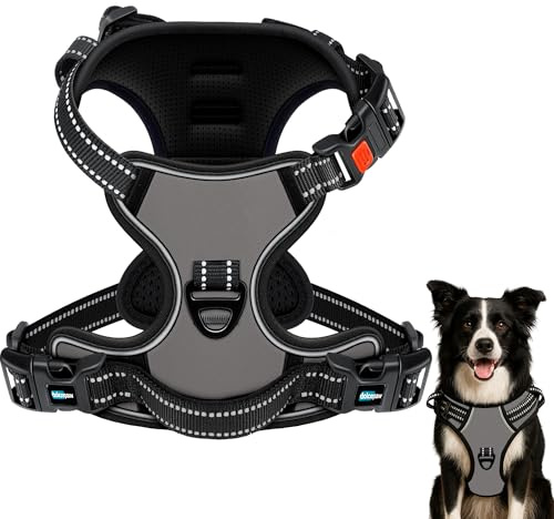 DOLCEPAW Hundegeschirr No-Pull Verstellbar mit Reflektierenden Streifen, Atmungsaktives, Gepolstertes Brustgeschirr für Hunde, Sicher und Bequem für Spaziergänge und Training