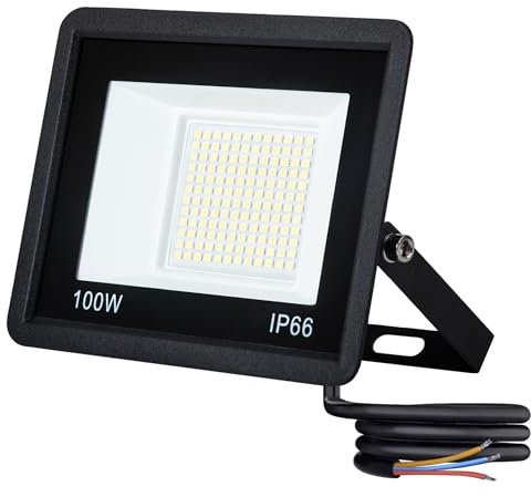 NAIZY Lot de 5 projecteurs de chantier LED 100 W - Super lumineux - 230 V - En aluminium - Blanc chaud