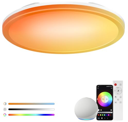 Monemey Plafoniera LED Soffitto 24W, Plafoniera Intelligente da 30 cm, Lampadario Compatibile con Alexa Google Home, Controllo App/Telecomando, per Camera da Letto, Soggiorno, Corridoio, Cucina