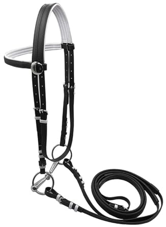 Oshhni Brida de Caballo con riendas, Cuerda para Montar, Anillo Ajustable de Acero Inoxidable, Correa para para Club, lección, Granja, L Black