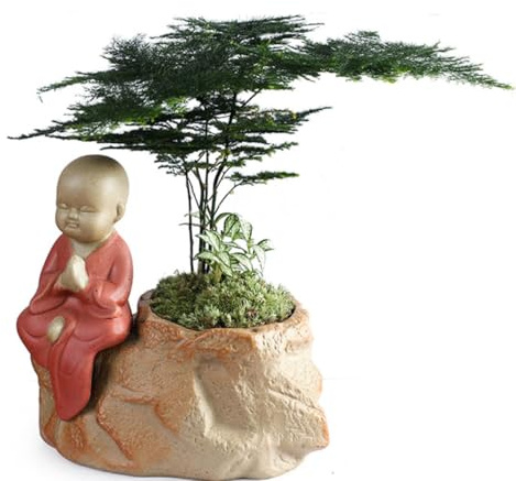 TOYANDONA Pot de Fleurs en Céramique Rouge Récipient Créatif Artisanat Fin pour Succulentes et Petites Plantes pour Décoration de Bureau et Jardinage