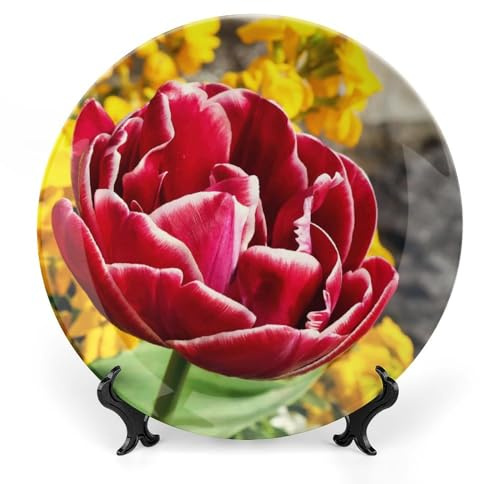 8 Ceramic Decorative Plates Switzerland Spring Flower Home Wobble-Plate with Display Stand Wall Hanging Plate Dessert Plates Kitchen Office Decor Wall Art Ornament