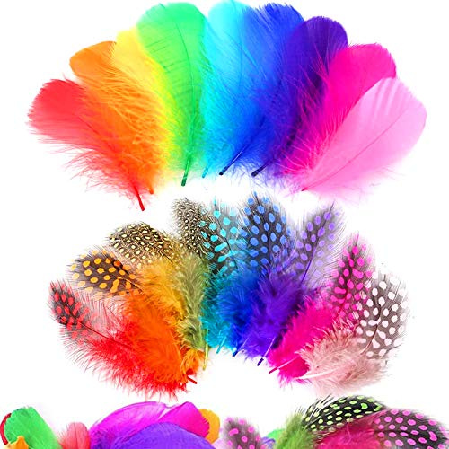 300PCS Bunte, gemischte Natürliche Federn für DIY, Hochzeit- und Party-Dekoration und Basteln