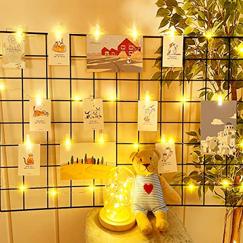 Dalugo Lichterkette Fotoclips, 2M 20 LED Mit Klammern für Fotos, Batteriebetrieben für Valentinstag, Hochzeiten, Geburtstagsparty, Hochzeitstag