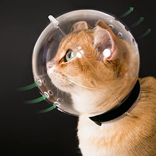 Transparenter Katzenmaulkorb mit atmungsaktiver Kapuze, Verstellbarer Astronautenhelm, verhindert das Beißen von Haustieren, Kauen, Fellpflege, Hoqqf, Ballmaske für Aggressive Katzen (L) | Astronautenhelm für Kätzchen, verhindert, dass Haustiere beißen, kauen, Fellpflege, Hoqqf, Ballmaske für aggressive Katzen