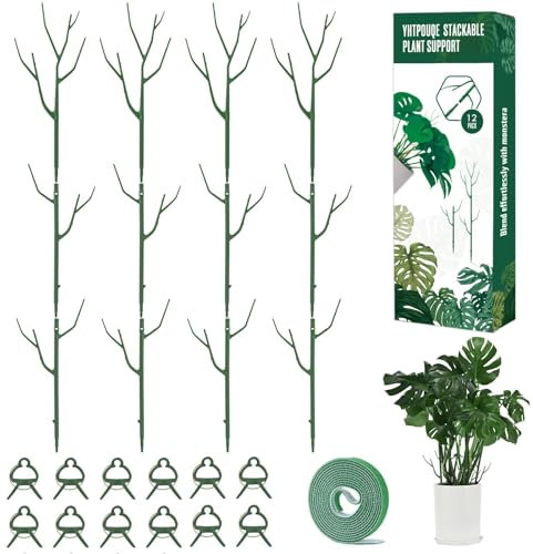Yhtpouqe Confezione da 12 pali di supporto per piante, per piante da interno ed esterno. Bastoncini per piante da 100 cm con aste di estensione, clip per piante, legami per piante di Monstera in vaso,