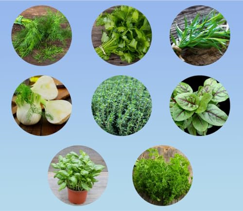 lot 8 varietés graines de spécial herbes poissons - lot # 7 - planète graines - SACHETS INDIVIDUELS - kit SPECIAL POISSON pour balcon, jardin serre -graines de très bonne qualité