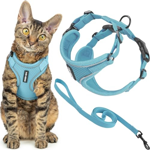 Best Pet Supplies Voyager-Set, ausbruchsicheres Katzengeschirr mit 1,5 m Langer Leine, reflektierende Nähte, Neoprengriff, für kleine, mittelgroße, große Katzen, für Spaziergänge, Babyblau, Größe XS
