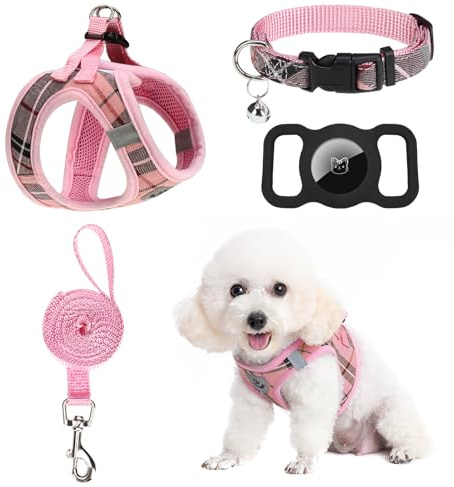 EXPAWLORER Hundegeschirr und Leine Set – Step in Dog Vest Harness No Pull with Bell Collar, Breathable Mesh Adjustable Puppy Small Dog Harness, Reflective Escape-Proof for Training Outdoor Walking