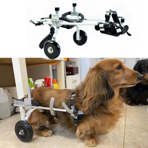 Chariot Chien Handicapé Fauteuil Roulant pour Chien Xxxs/xxs/xs/s pour Mini Teckel, Aide à La Mobilité Des Animaux de Compagnie à 2 Roues pour Les Jambes, Orthèse de Jambe de Rééducation Réglable pour