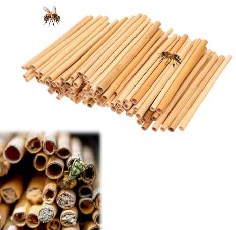 Noaxylic Etwa 300 Stück Nisthülsen für Wildbienen, 14.5 cm Länge Nisthülsen | Nisthilfe für Bienen, für Wildbienenhotel, für Bienen, Schmetterlinge und Andere Insekten