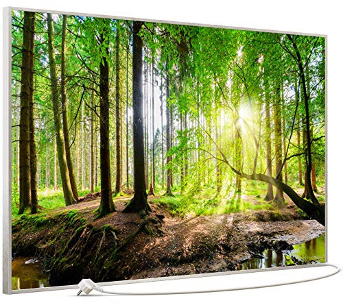 STEINFELD Bild Infrarotheizung mit Thermostat | Made in Germany | viele Motive 350-1200 Watt Rahmen silber (900W, 067 Wald Panorama)