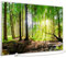 STEINFELD Bild Infrarotheizung mit Thermostat | Made in Germany | viele Motive 350-1200 Watt Rahmen silber (900W, 067 Wald Panorama)