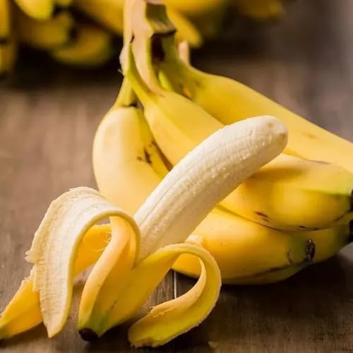 semi di banano - giardino rialzato biologici vecchie varietà esotica reale resistenti 10pcs