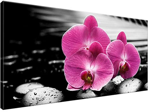Estika Leinwand bilder - Rose Orchideen, Schwarz weiß Hintergrund - 115x55 cm, 1 teilige kunstdruck - Wandbilder wohnzimmer, schlafzimmer, Moderne wanddeko, Bild auf leinwand - 1380A_1AE