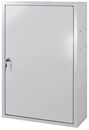 ADB Betriebseinrichtungen GmbH Armario de pared para herramientas, Estanterias Almacenaje con 1 puerta, 1 FB, RAL7035/7035