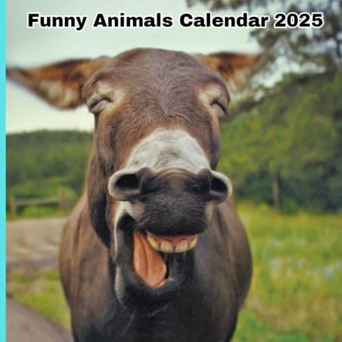 Funny Animals Calendar 2025